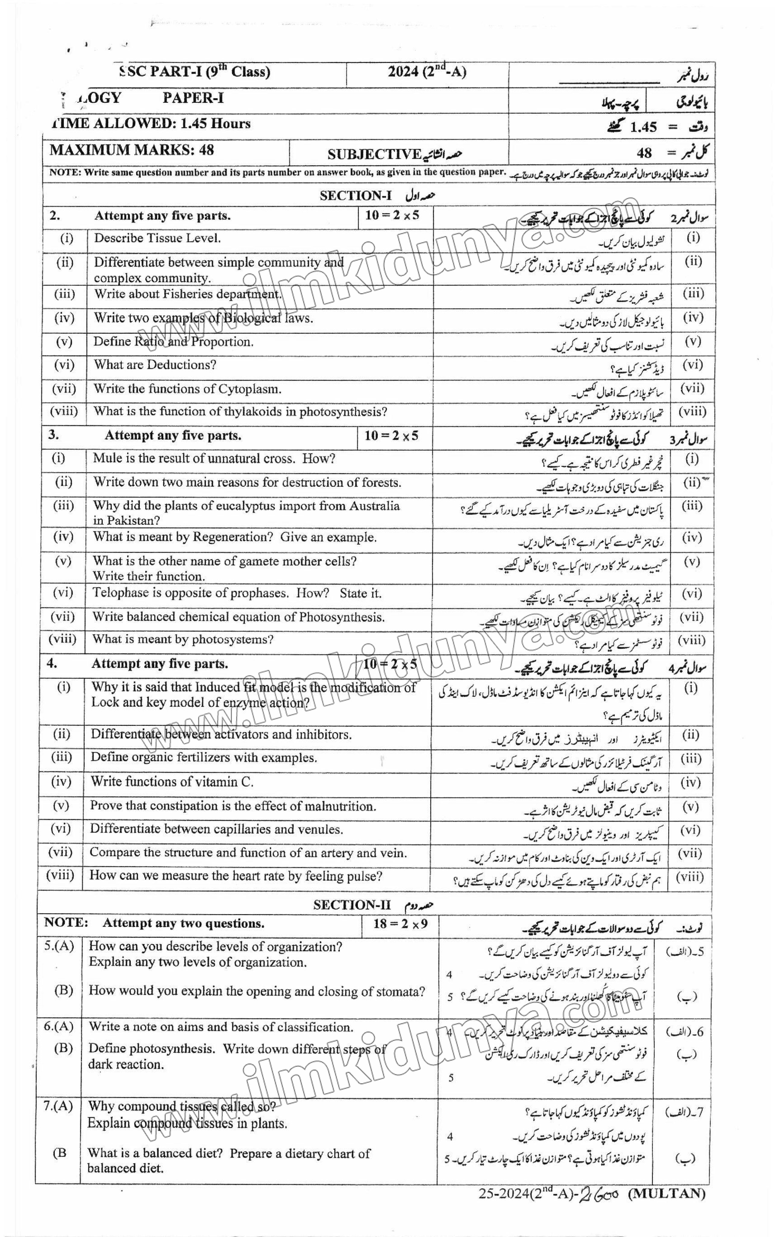 Paper Image